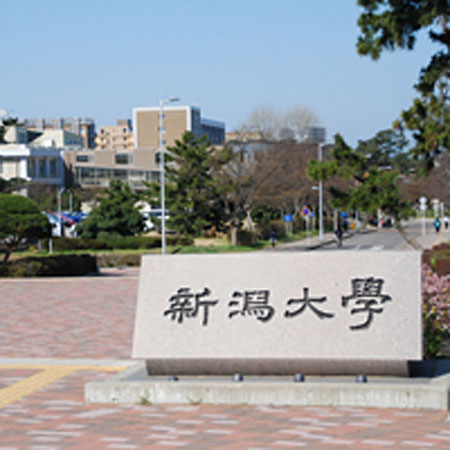 文京台地区の大学